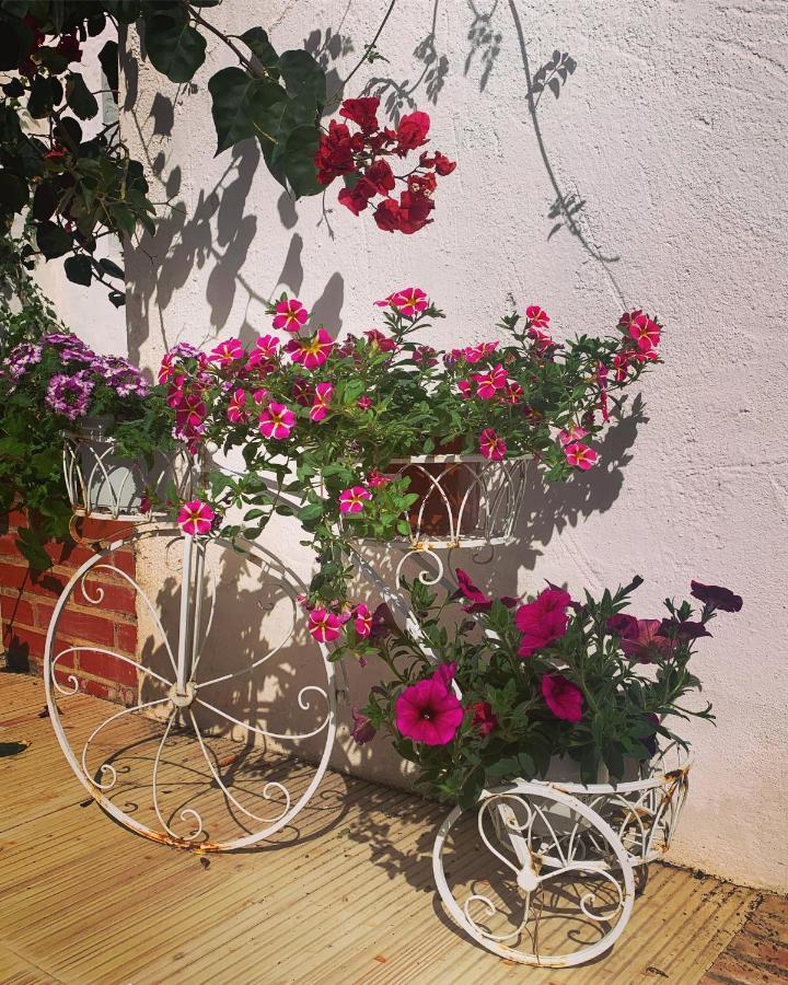 Patios Del Agua Bed & Breakfast El Puerto de Santa Maria Exterior photo