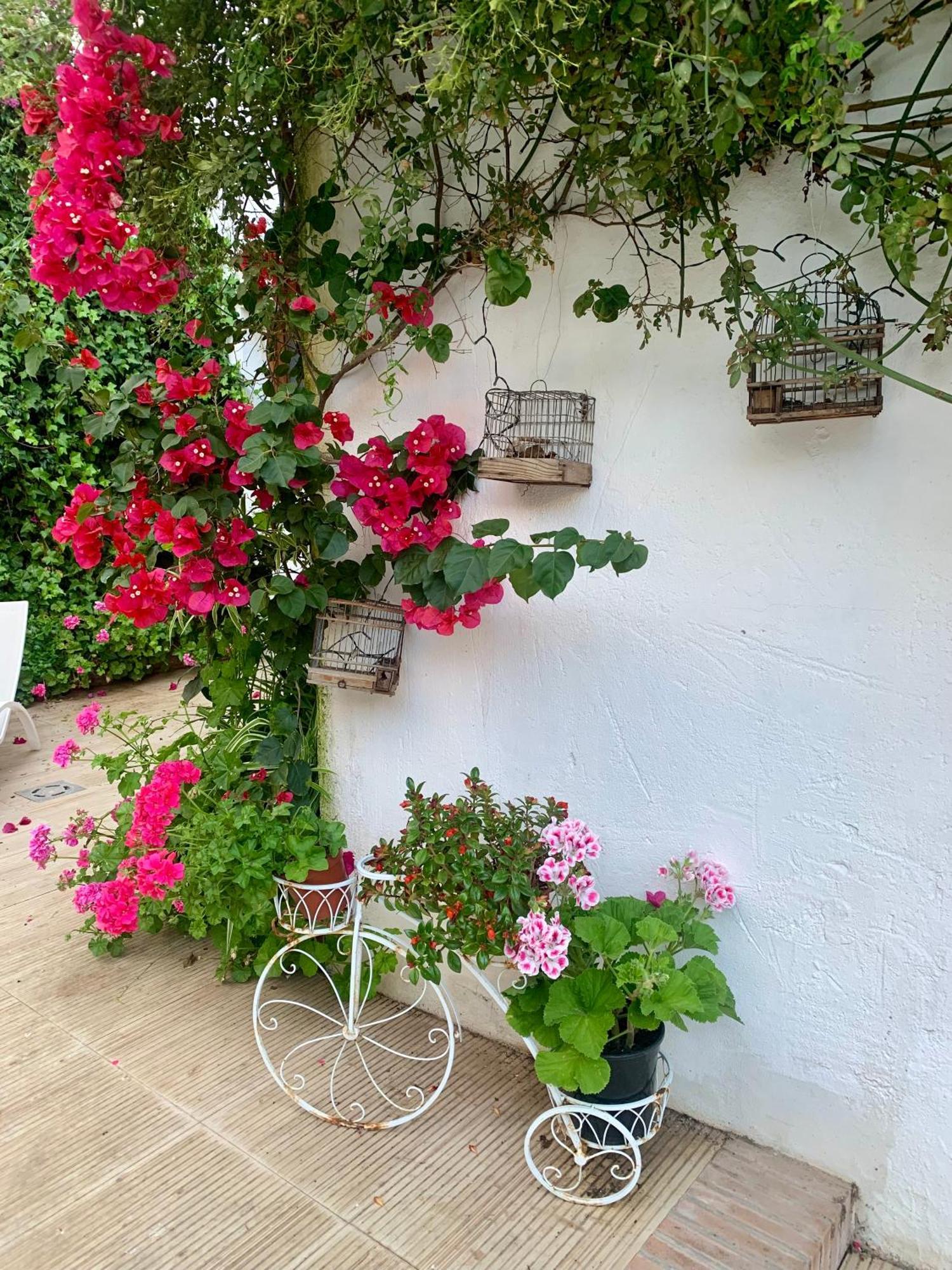 Patios Del Agua Bed & Breakfast El Puerto de Santa Maria Exterior photo