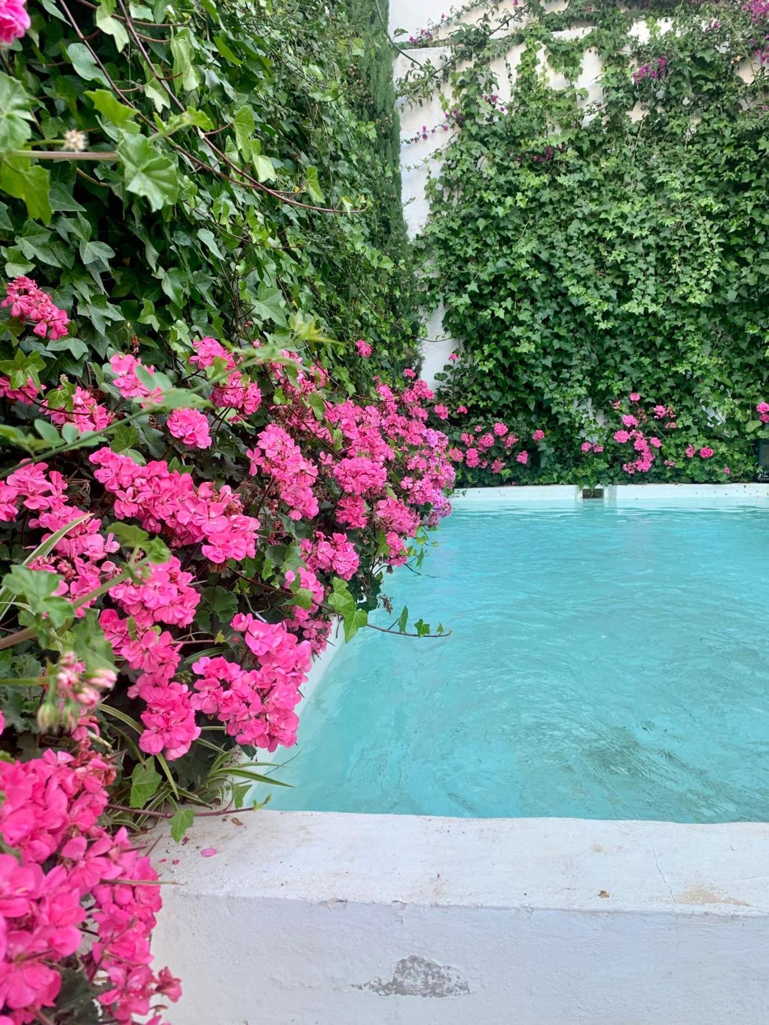 Patios Del Agua Bed & Breakfast El Puerto de Santa Maria Exterior photo